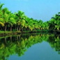 kerala backwaters